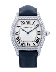 Cartier Tortue WA503851